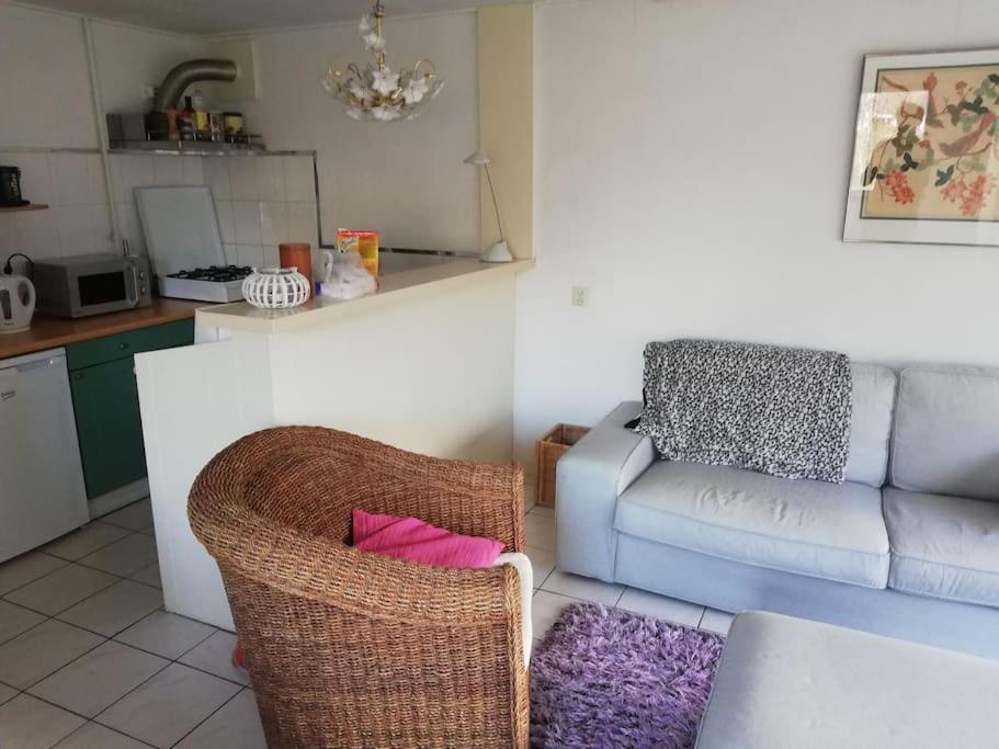 Cottage Egmond-Binnen Met Besloten Tuin Esterno foto