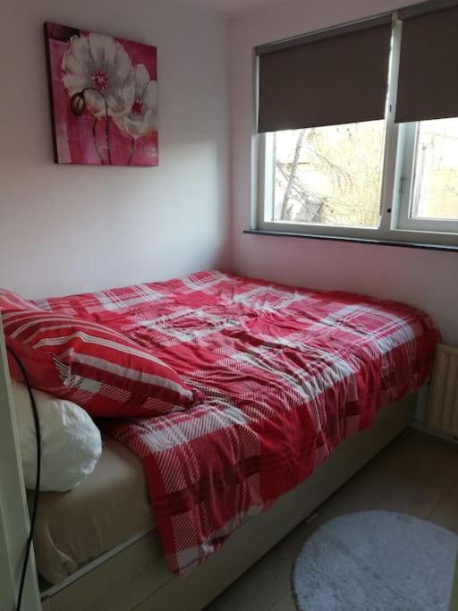 Cottage Egmond-Binnen Met Besloten Tuin Esterno foto