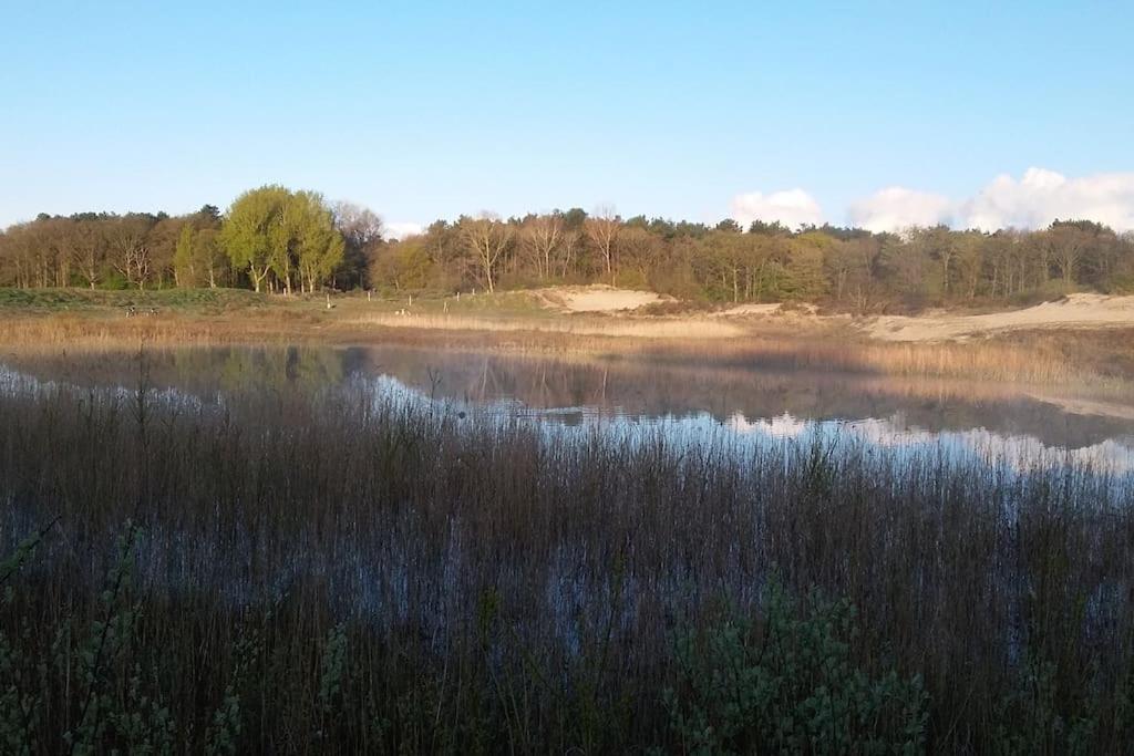 Cottage Egmond-Binnen Met Besloten Tuin Esterno foto