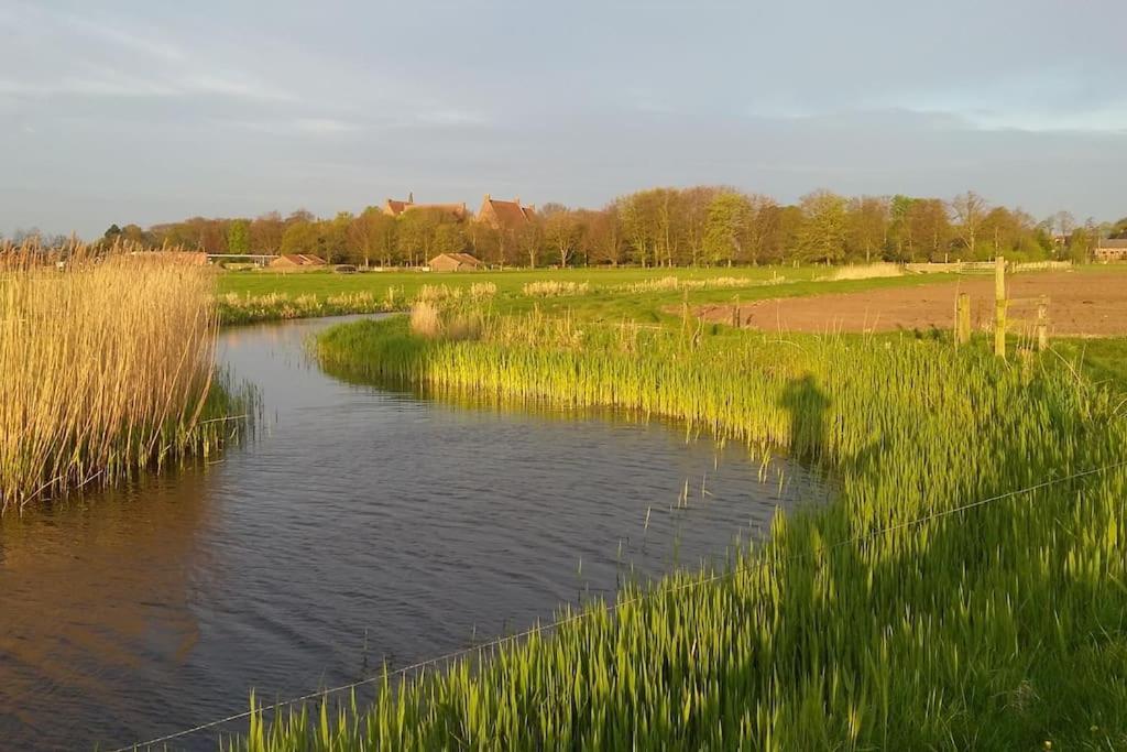 Cottage Egmond-Binnen Met Besloten Tuin Esterno foto