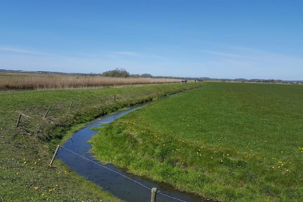 Cottage Egmond-Binnen Met Besloten Tuin Esterno foto