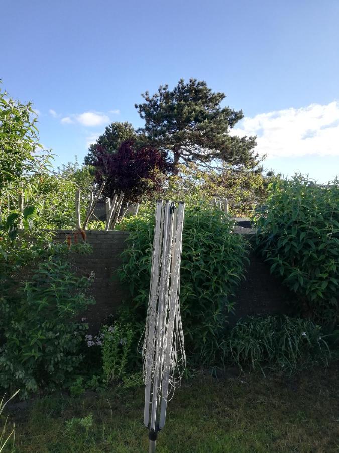 Cottage Egmond-Binnen Met Besloten Tuin Esterno foto